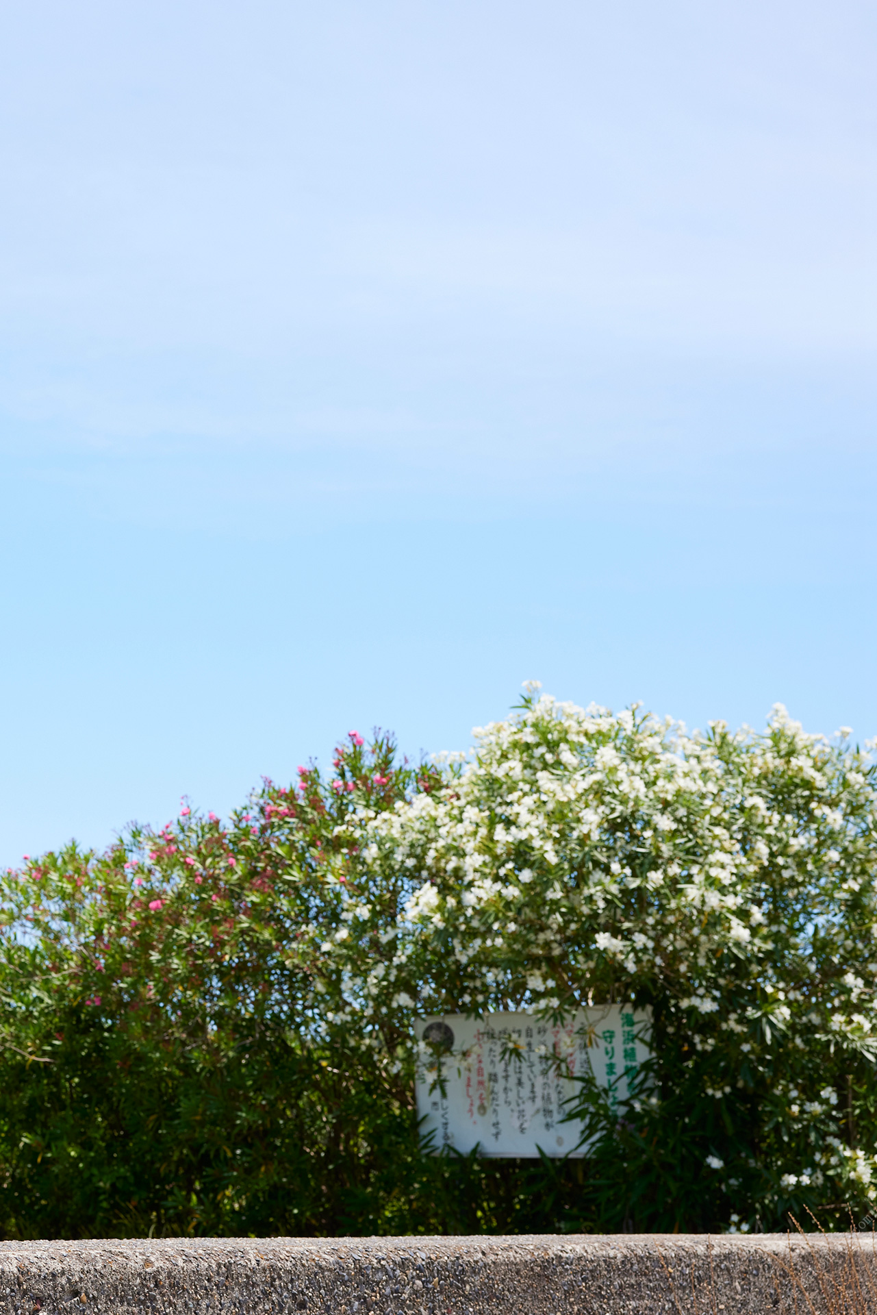 115211jq6h11htsvankkjk