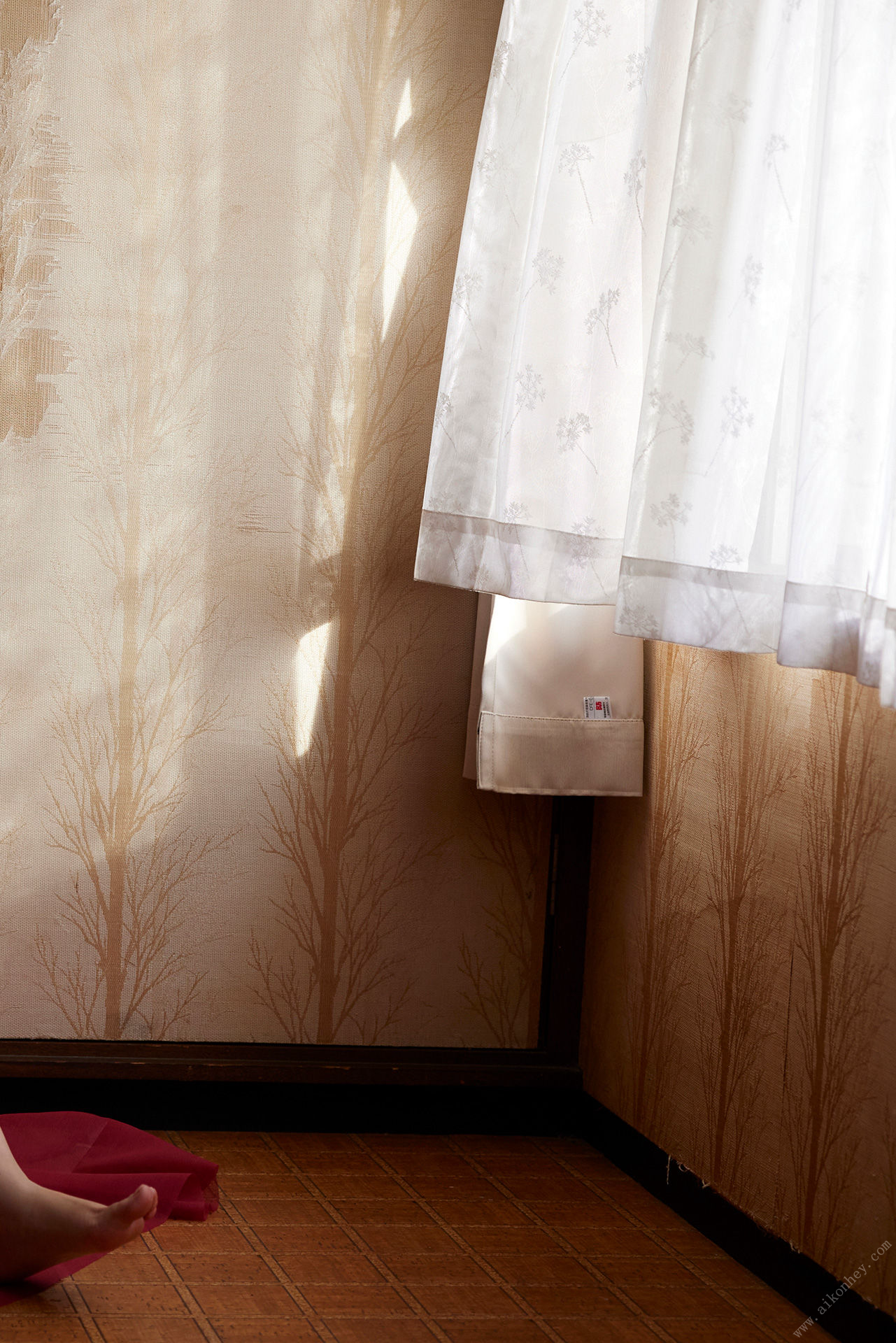 11531818fltsytbwm9ws6m